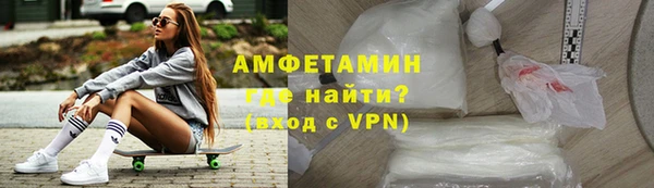 молекула духа Новозыбков