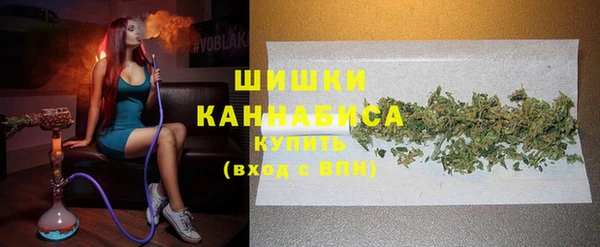 молекула духа Новозыбков