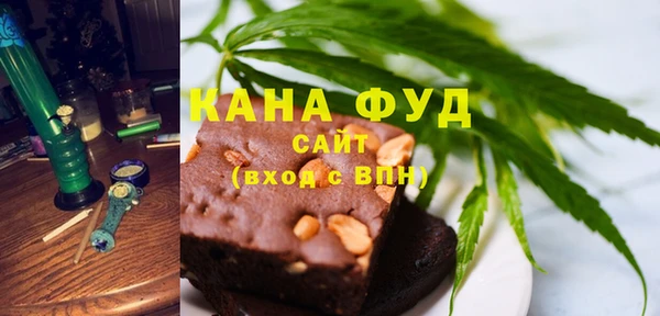 молекула духа Новозыбков