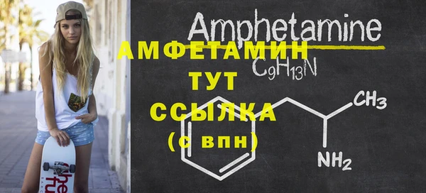 молекула духа Новозыбков
