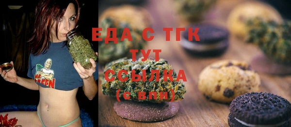 молекула духа Новозыбков