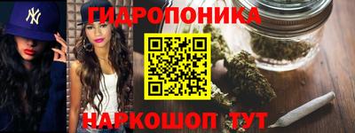 шишки Изобильный