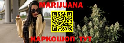 шишки Изобильный