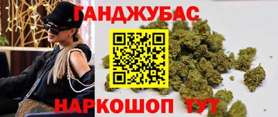 шишки Изобильный