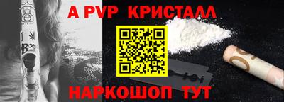 шишки Изобильный