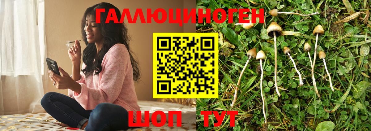 Галлюциногенные грибы Psilocybe  Псилоцибиновые грибы Magic Shrooms  Соликамск 